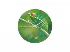 Часы настенные Nicole Time NT503 в Дупленской - duplenskaya.mebel-nsk.ru | фото